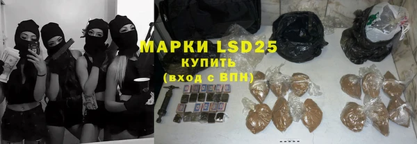 прущие грибы Семилуки